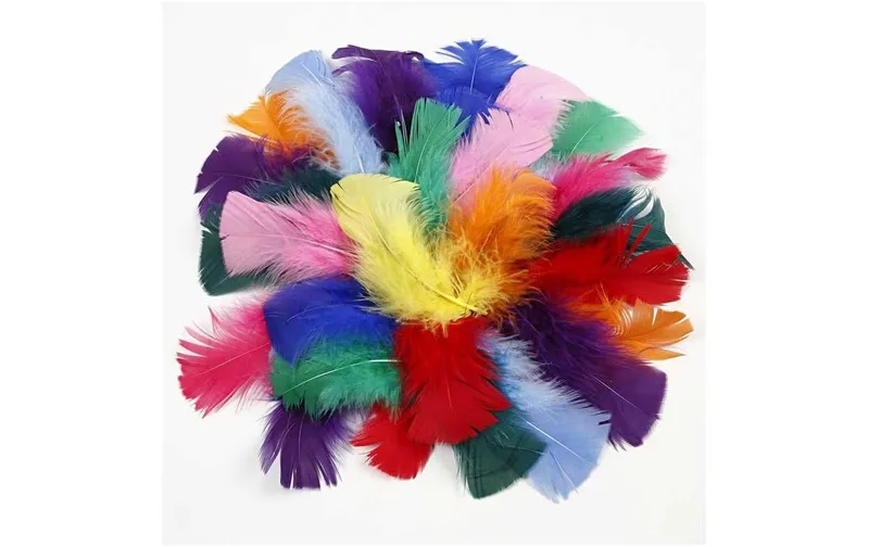 Creativ Company Federn 50 g multicolour
