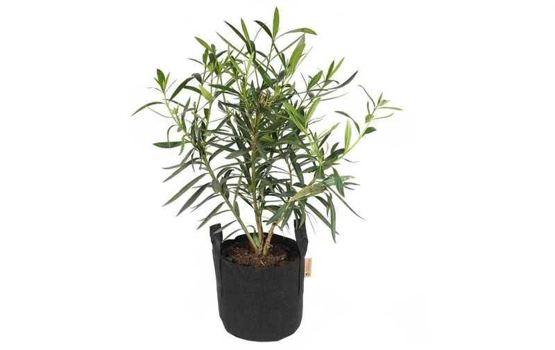 Gorilla Gardening Pflanzsack nero