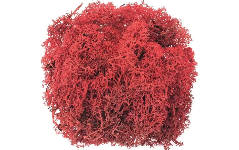 Glorex Moos Island rosso