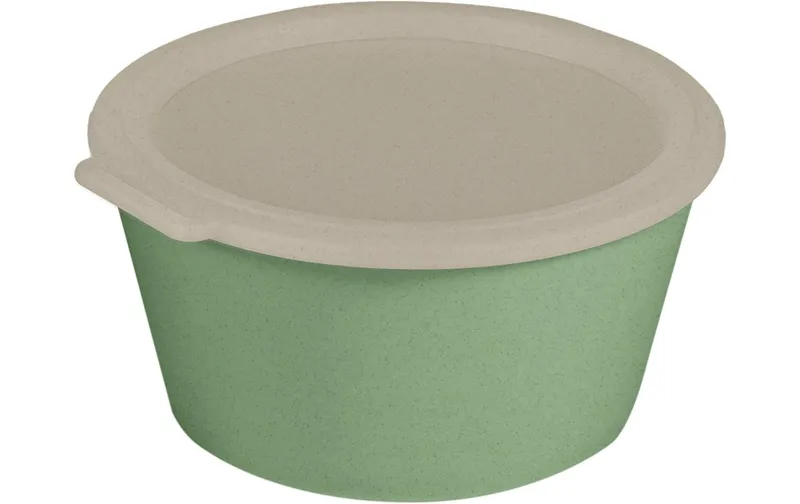 Koziol Schale Move Box mit Deckel 2.2 l, Grün