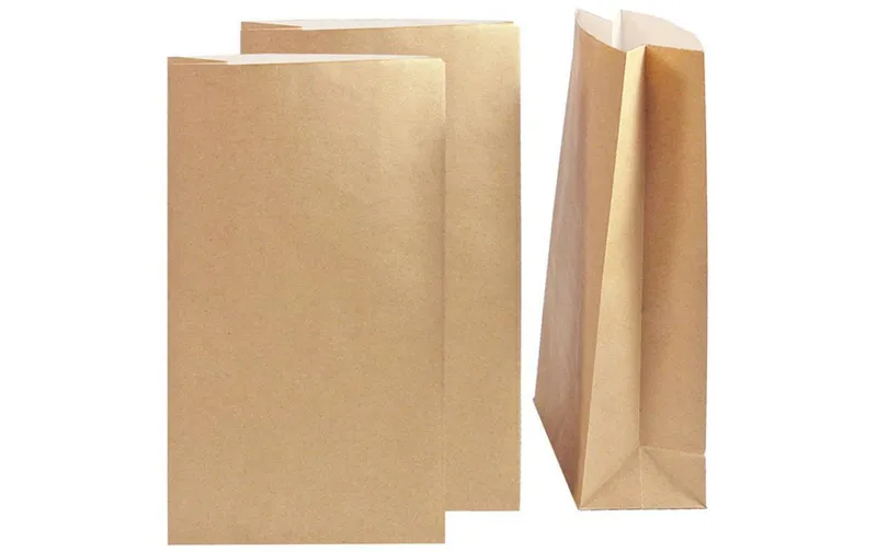 brown + Company Geschenktüte Kraftpapier 16 x 26 x 8 cm