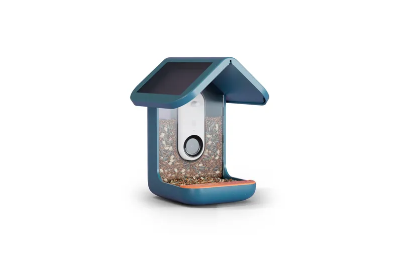 Birdbuddy Futterspender PRO Solar avec AI-Vogelerkennung